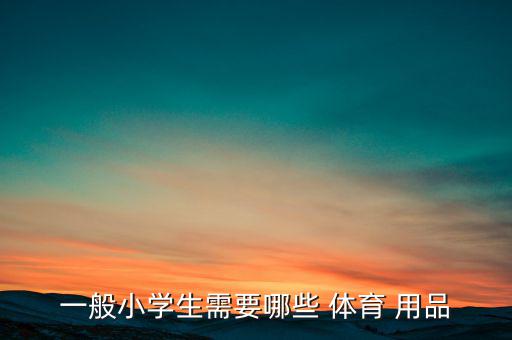 中小學(xué)生體育用品店,學(xué)習(xí)禮物用品知多少?
