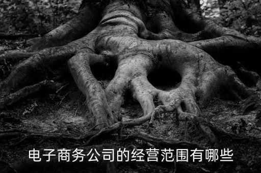 體育用品電商怎么運(yùn)營(yíng),電商公司經(jīng)營(yíng)范圍怎么寫(xiě)?正在整理
