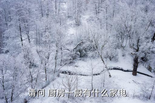 請(qǐng)問(wèn) 廚房一般有什么家電