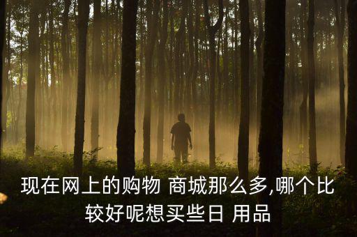 現(xiàn)在網(wǎng)上的購物 商城那么多,哪個比較好呢想買些日 用品