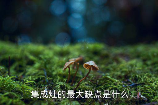  集成灶的最大缺點是什么