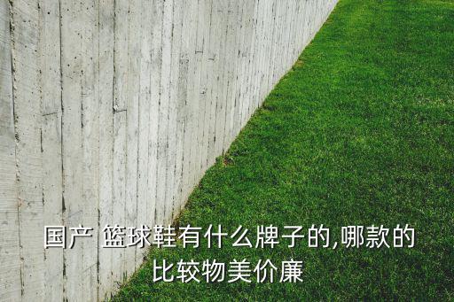  國(guó)產(chǎn) 籃球鞋有什么牌子的,哪款的比較物美價(jià)廉