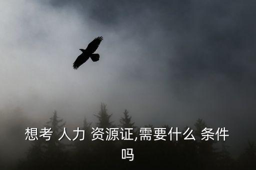 人力資源考證條件,人力資源資格證書(shū)涵蓋九個(gè)職業(yè)資格領(lǐng)域