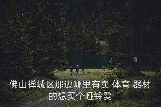 佛山禪城區(qū)那邊哪里有賣 體育 器材的想買個啞鈴凳