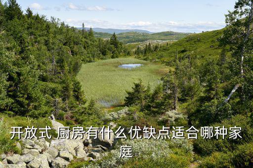 廚房用具名稱及圖片,如何選購(gòu)合適的廚房組件和廚房空間規(guī)劃
