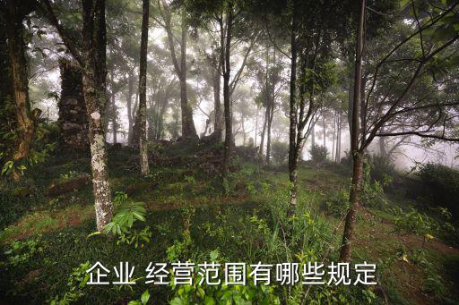 體育用品企業(yè)如何規(guī)范經(jīng)營,2.企業(yè)經(jīng)營范圍必須依法登記