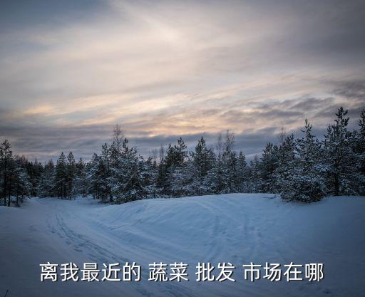 離我最近的 蔬菜 批發(fā) 市場在哪