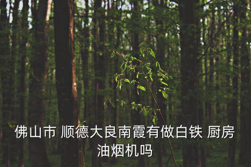 佛山市 順德大良南霞有做白鐵 廚房油煙機嗎