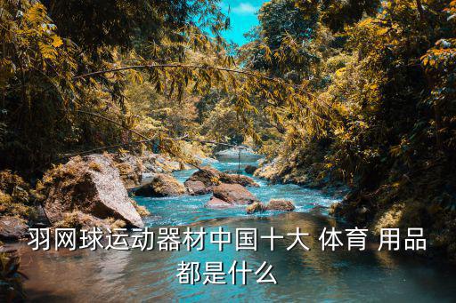 靈動(dòng)體育用品是什么,體育用品店倒閉賣的是什么東西?