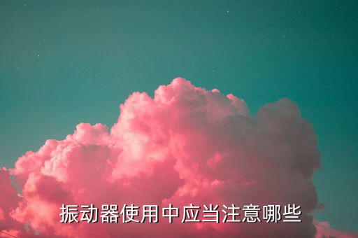  振動(dòng)器使用中應(yīng)當(dāng)注意哪些