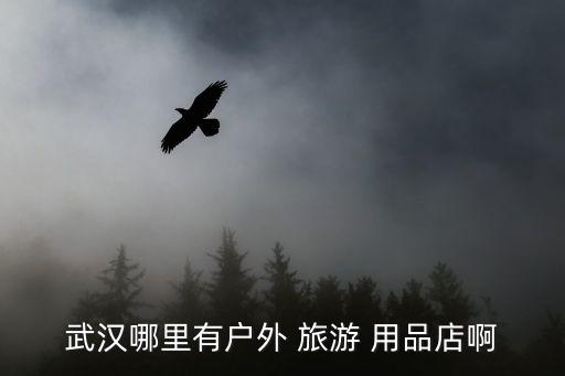 旅游用品,三和戶(hù)外旅游用品店位于武漢武昌區(qū)