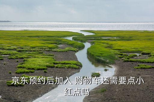 京東預(yù)約后加入 購物車還需要點小紅點嗎