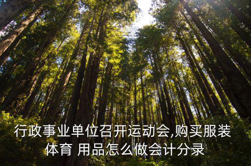 體育用品屬于什么費用,體育用品開票是體育經營項目之一