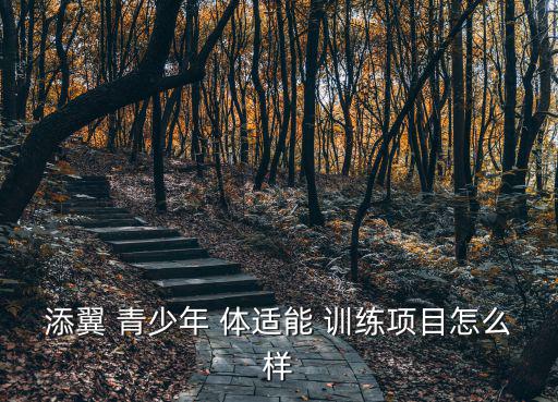 添翼 青少年 體適能 訓(xùn)練項(xiàng)目怎么樣