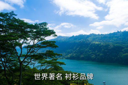 國(guó)際品牌男裝十大排名襯衫,意大利之父襯衫價(jià)格親民品質(zhì)卓越