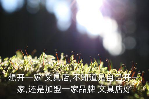文具加盟店2萬元左右,我們加盟文具店吧,晨光好!不收加盟費