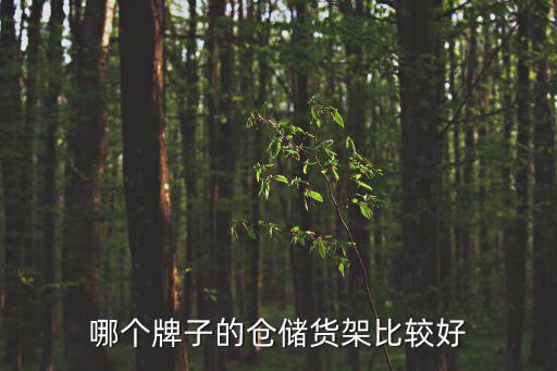 哪個(gè)牌子的倉儲貨架比較好