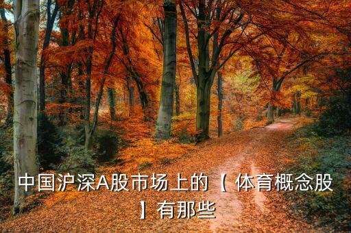 中國(guó)滬深A(yù)股市場(chǎng)上的【 體育概念股】有那些