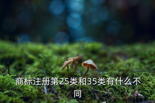  商標(biāo)注冊第25類和35類有什么不同