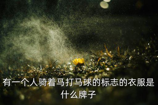 有一個人騎著馬打馬球的標(biāo)志的衣服是什么牌子
