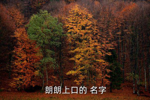 朗朗上口 名字,朗朗上口重復(fù)昵稱:1.可唯