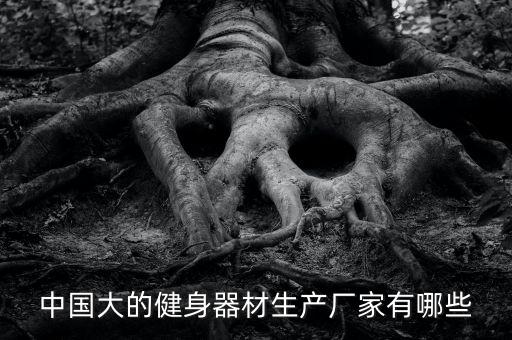 體育用品在哪里檢測(cè),本地專業(yè)戶外健身器材生產(chǎn)企業(yè)