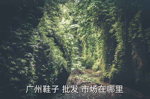 廣州鞋子 批發(fā) 市場在哪里