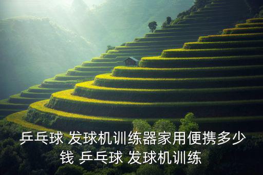  乒乓球 發(fā)球機訓練器家用便攜多少錢 乒乓球 發(fā)球機訓練
