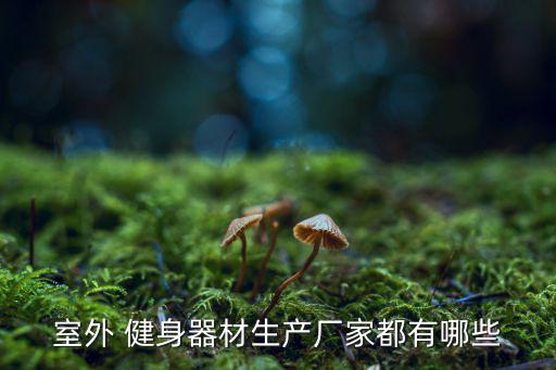 戶外健身器材廠家排名,戶外健身設(shè)備種類繁多選擇性價比高