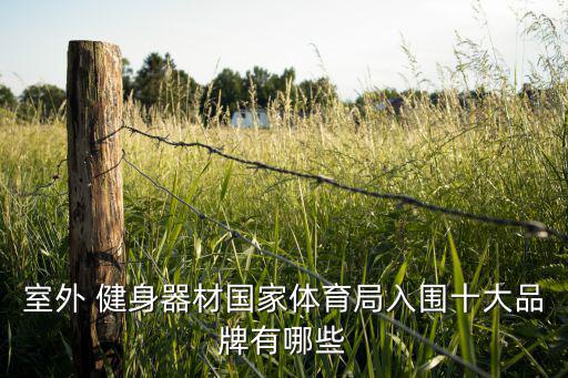 室外 健身器材國家體育局入圍十大品牌有哪些