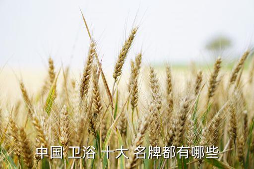 中國衛(wèi)浴十大名牌排名,衛(wèi)浴十大品牌