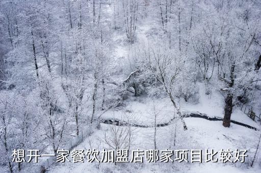 想開一家餐飲加盟店哪家項(xiàng)目比較好
