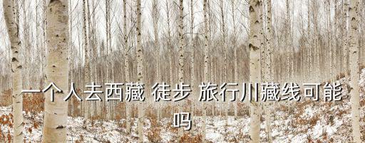 一個(gè)人去西藏 徒步 旅行川藏線可能嗎