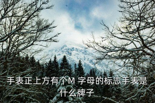 M字母logo設(shè)計圖片,我國羽毛球選手包括哈密爾頓參賽選手