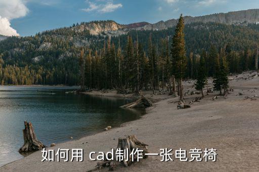 如何用 cad制作一張電競椅