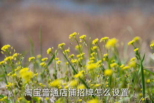 淘寶普通店鋪招牌怎么設置