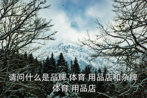 賣(mài)體育用品店叫什么,雜牌體育用品店鋪賣(mài)的是國(guó)際國(guó)內(nèi)知名品牌