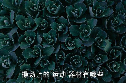 廣場運動器材的名稱,戶外健身器材知多少?
