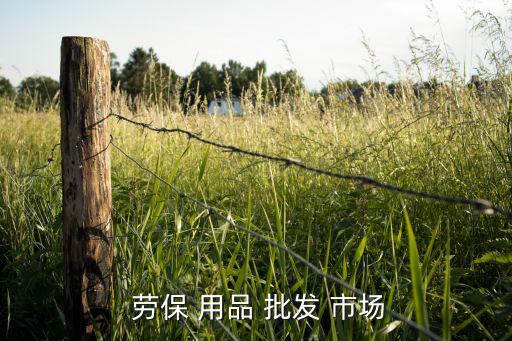  勞保 用品 批發(fā) 市場(chǎng)