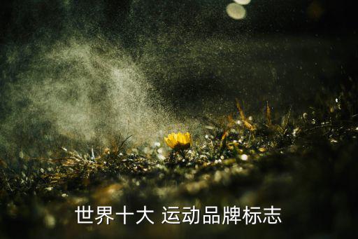 世界十大 運(yùn)動品牌標(biāo)志