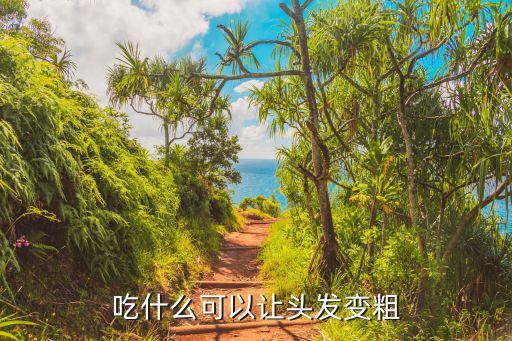 吃什么可以讓頭發(fā)變粗
