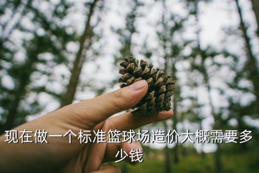 現(xiàn)在做一個標準籃球場造價大概需要多少錢