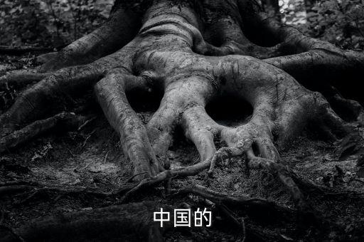 中國(guó)的