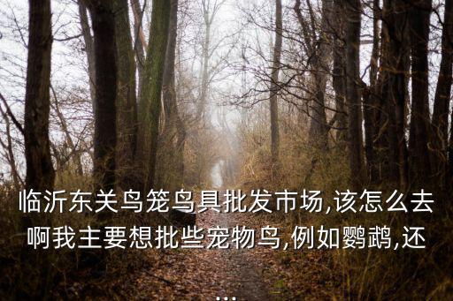 臺州朝武體育用品怎么樣,東莞鳥籠鳥批發(fā)市場網(wǎng)上課程免費開放