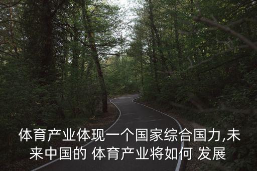  體育產(chǎn)業(yè)體現(xiàn)一個國家綜合國力,未來中國的 體育產(chǎn)業(yè)將如何 發(fā)展