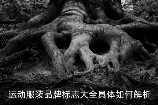  運(yùn)動服裝品牌標(biāo)志大全具體如何解析