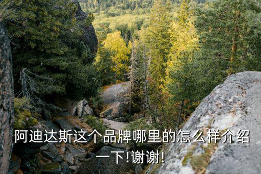 阿迪達(dá)斯這個(gè)品牌哪里的怎么樣介紹一下!謝謝!
