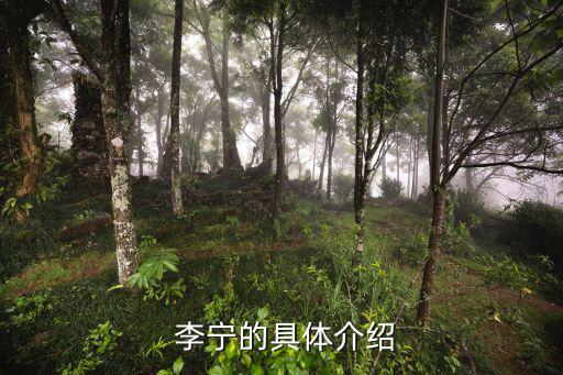 李寧體育用品下句話怎么說,李寧創(chuàng)立李寧體育用品公司