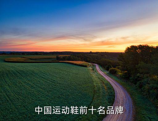 中國運動鞋前十名品牌