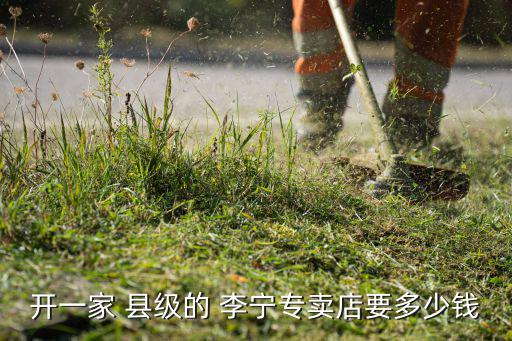 李寧縣級加盟費多少錢,加盟須遵守哪些條款?
